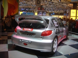 Peugeot 206 WRC ( ) - 